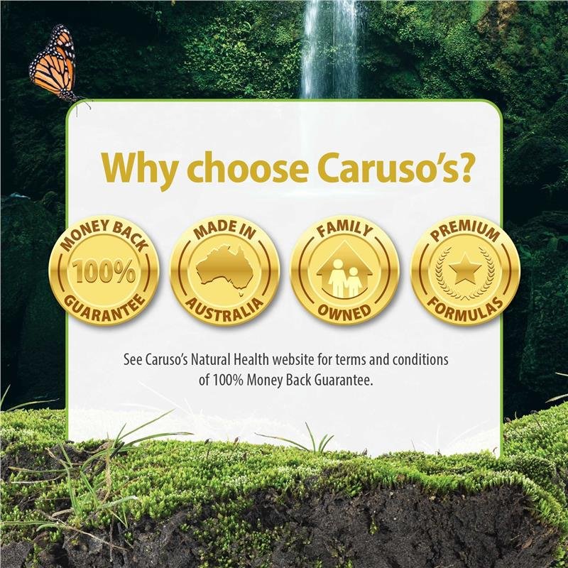 Caruso's 南非醉茄 50片