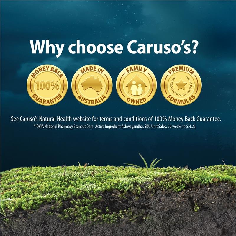 Caruso's 南非醉茄 助眠配方 印度人参+睡眠 30片