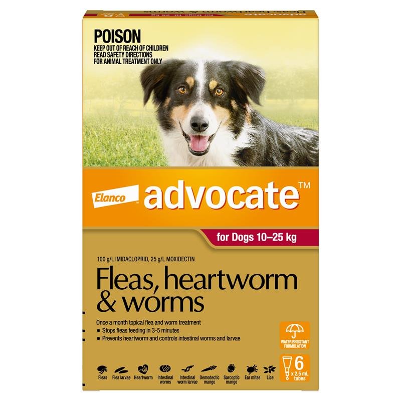 Advocate爱沃克 犬用体内外驱虫滴剂 10-25kg大型 6支