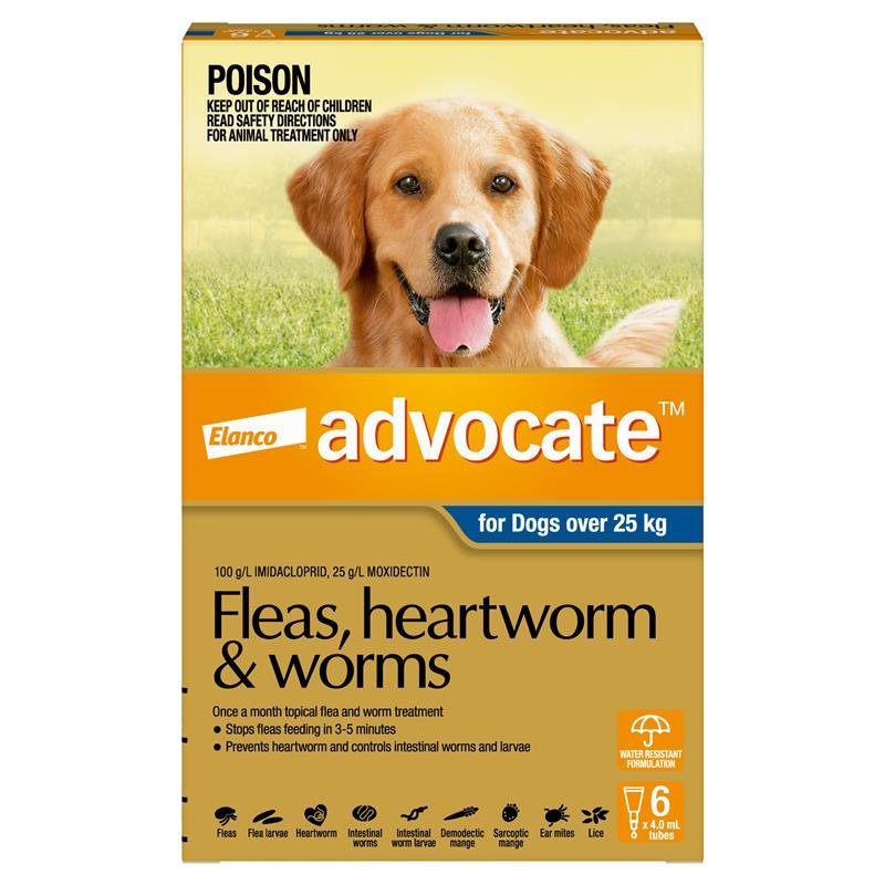 Advocate爱沃克 犬用体内外驱虫滴剂 25kg以上超大型 6支