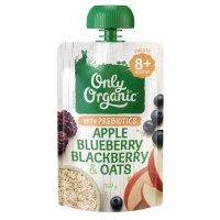 Only Organic 有机苹果蓝莓黑莓燕麦婴儿泥 120g