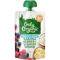 Only Organic 有机香蕉浆果酸奶早餐泥 120g