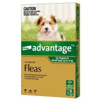 Advantage拜宠爽 犬用体外驱虫滴剂 0-4kg小型犬 6支