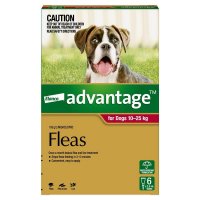 Advantage拜宠爽 犬用体外驱虫滴剂 10-25kg 6支