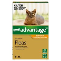 Advantage拜宠爽 幼猫及猫用体外驱虫滴剂 4kg以下 6支