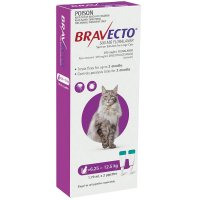 Bravecto超可信 猫用体外驱虫滴剂 6.25-12.5kg 2支