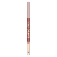Maybelline Sculpting Stix Eyeliner 011 Rosy Sculpt