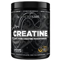 Faction Labs 一水肌酸 1kg