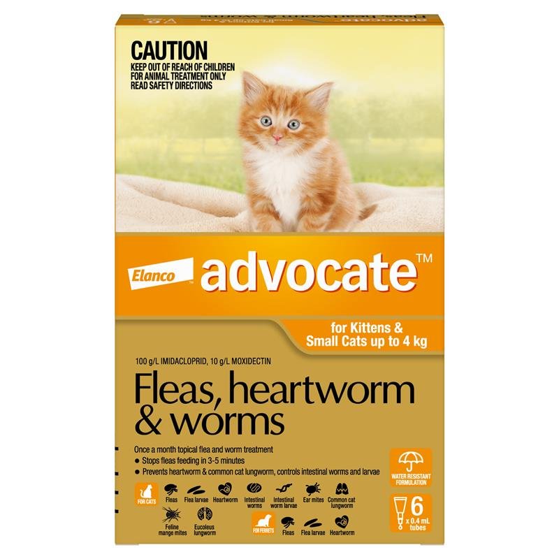 Advocate爱沃克 猫用体内外驱虫滴剂 0-4kg小型 6支