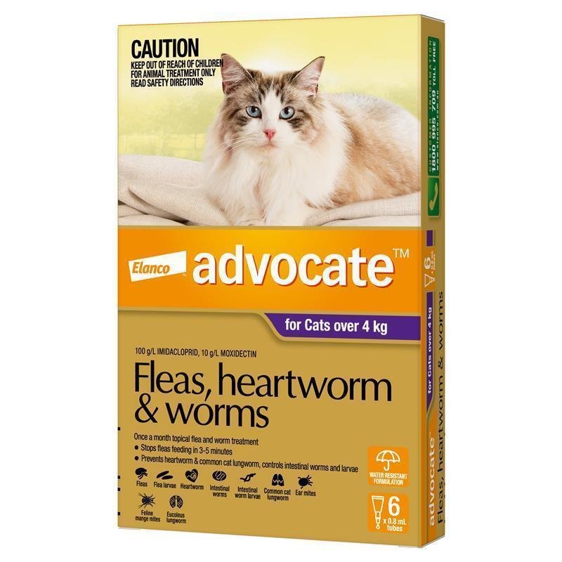Advocate爱沃克 猫用体内外驱虫滴剂 4kg以上大型 6支