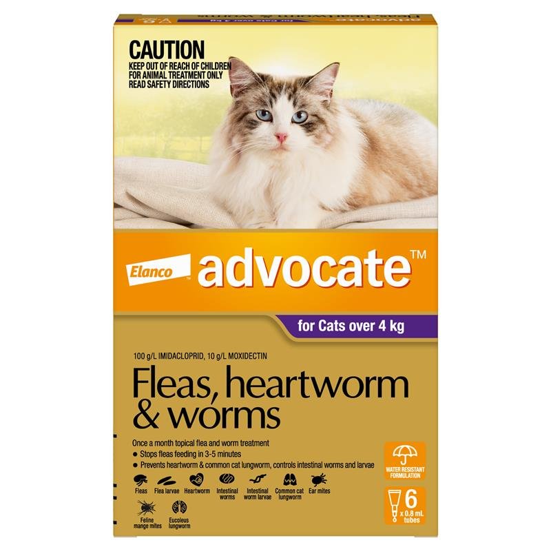 Advocate爱沃克 猫用体内外驱虫滴剂 4kg以上大型 6支