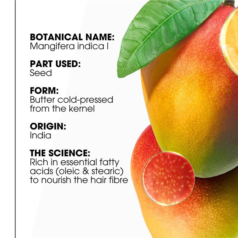 Klorane Conditioner With Mango 50ml